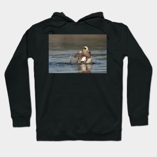 Splashing Wigeon Hoodie